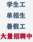 招聘暑假实习生